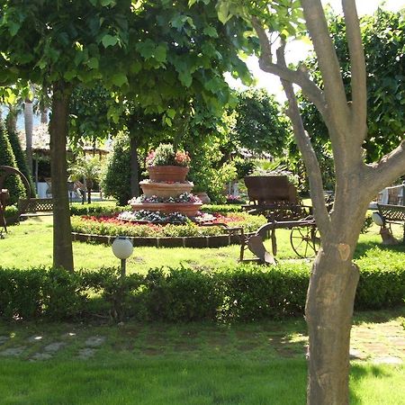 גראגנאנו Villa Delle Camelie מראה חיצוני תמונה